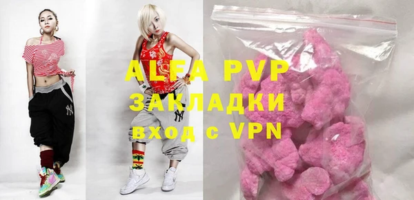 индика Аркадак