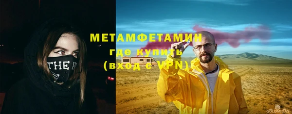 индика Аркадак