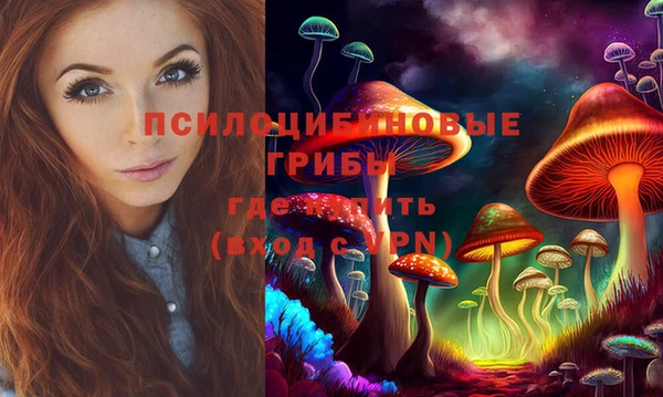 стафф Арсеньев