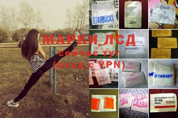 прущие грибы Армянск