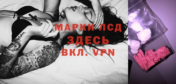 стафф Арсеньев