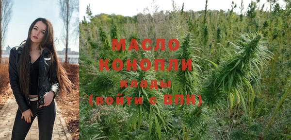 индика Аркадак