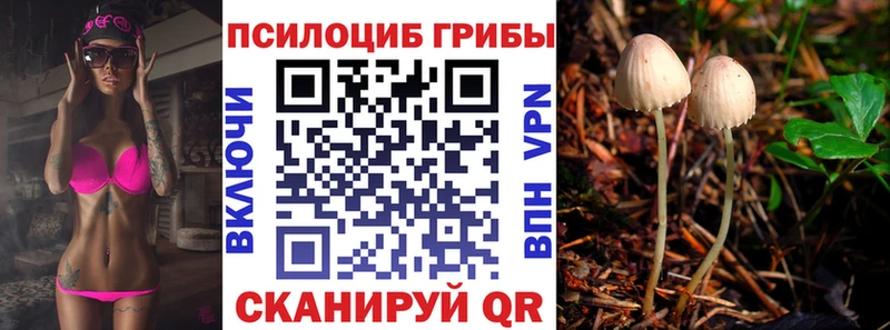 купить наркотики сайты Озёрск Галлюциногенные грибы мухоморы